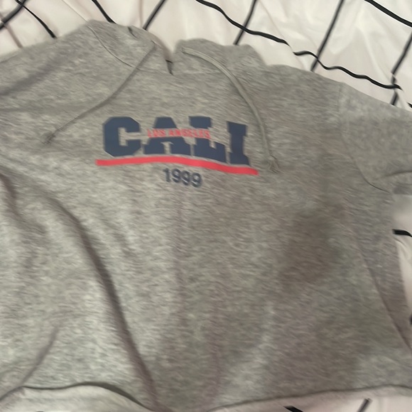 grey los angelos cropped hoodie - Picture 4 of 5